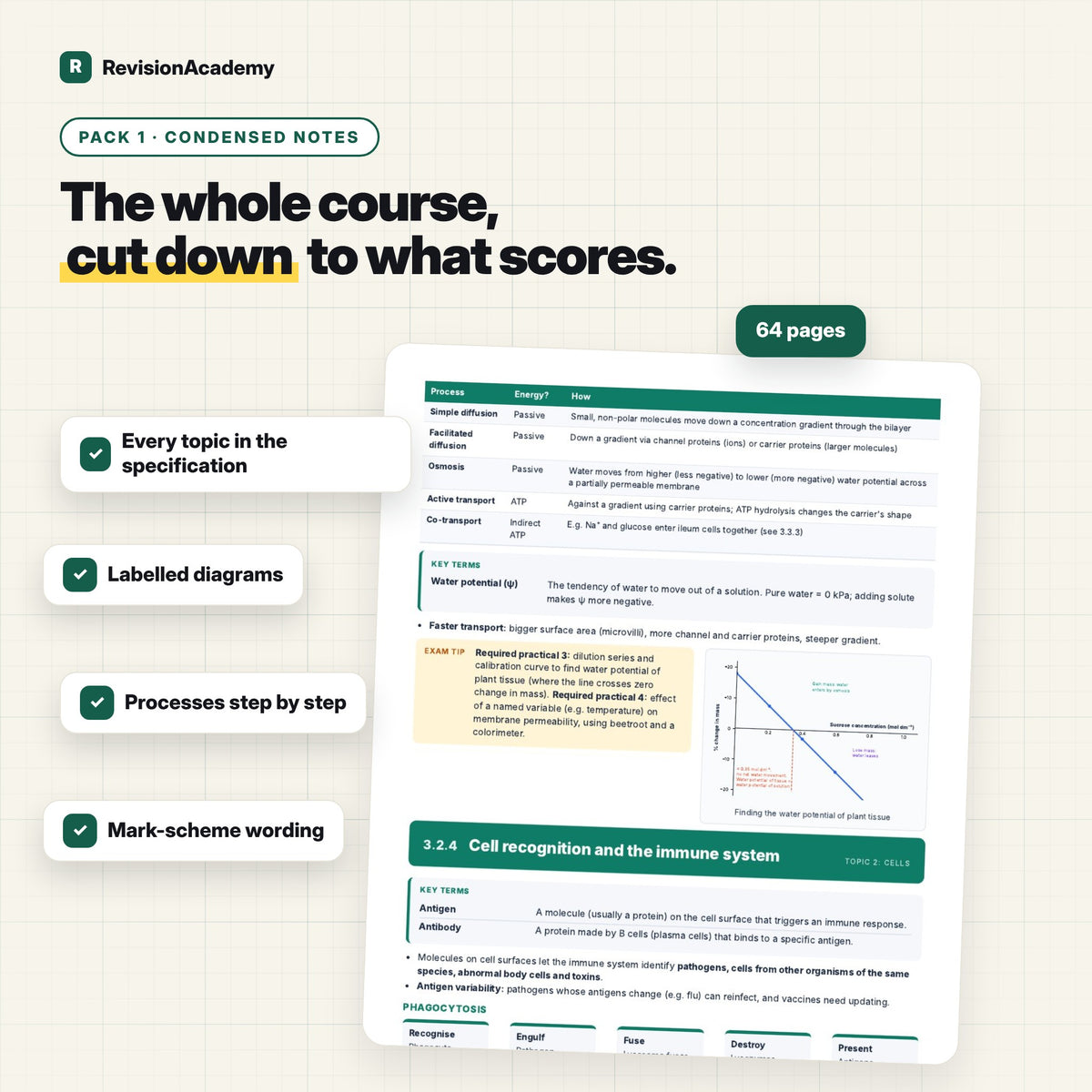 Complete Bundle | AQA A Level Biology