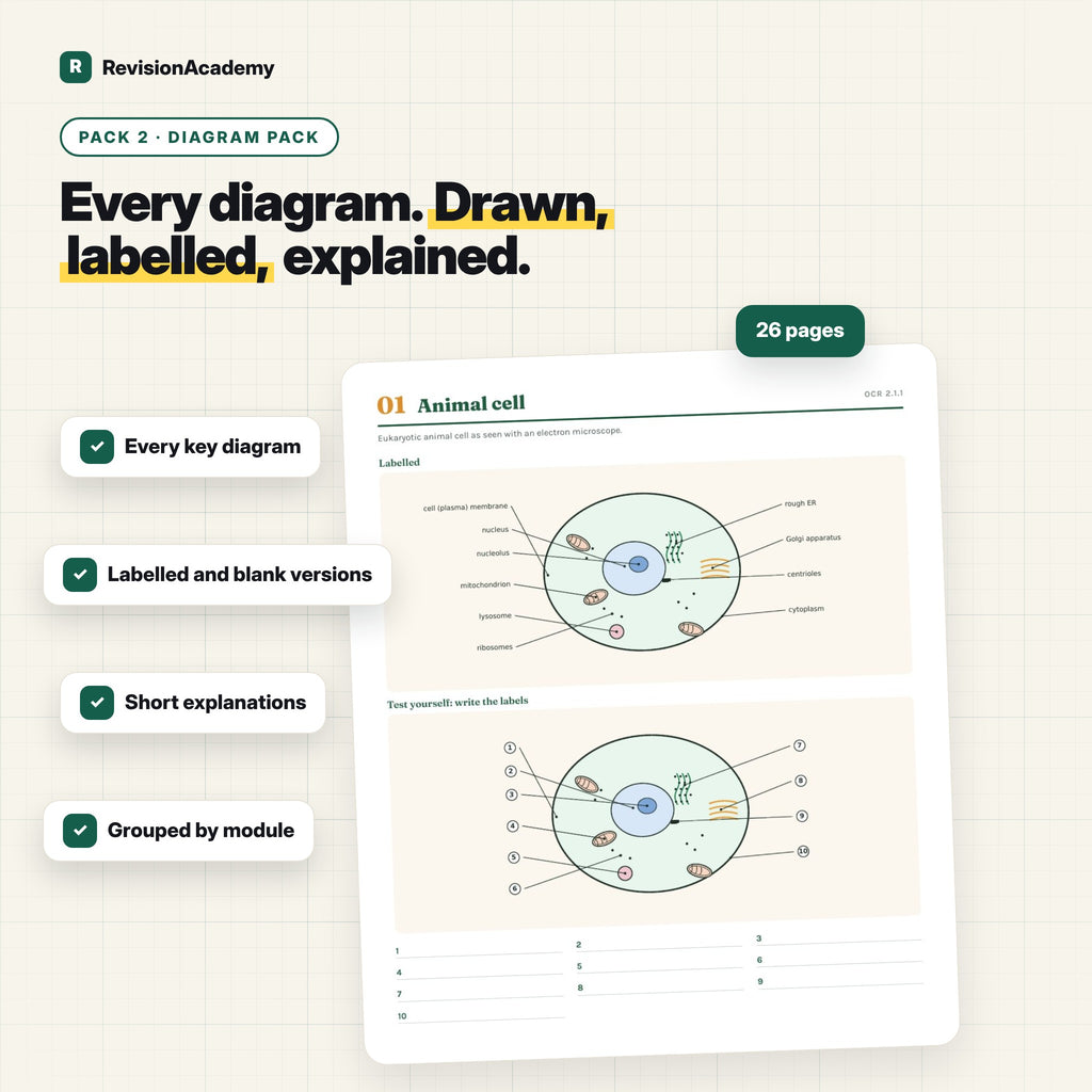 Complete Bundle | OCR A Level Biology A