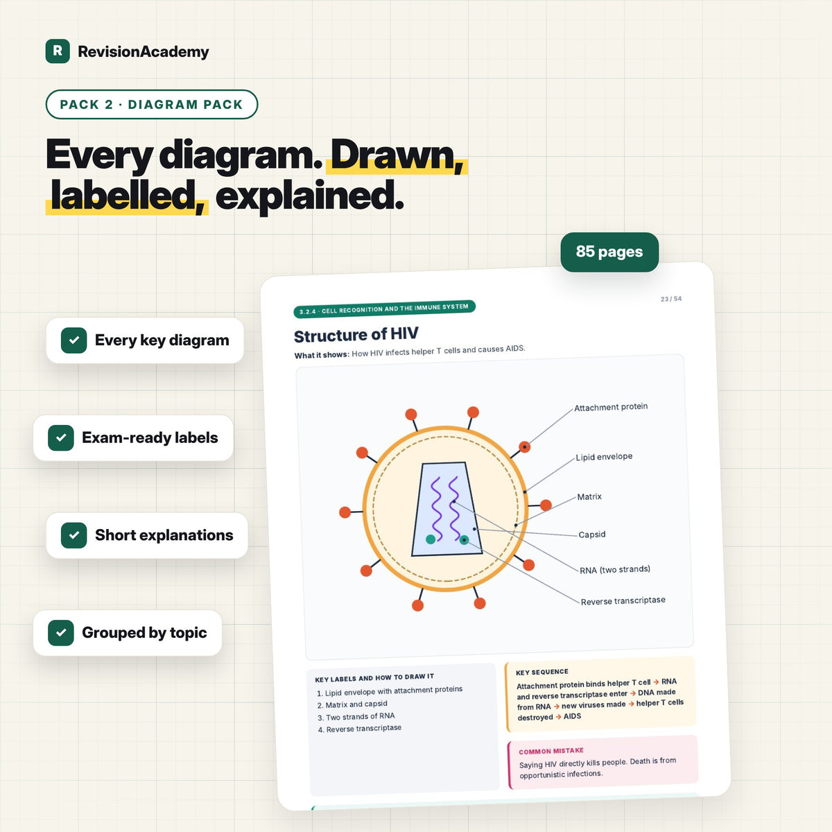 Complete Bundle | AQA A Level Biology